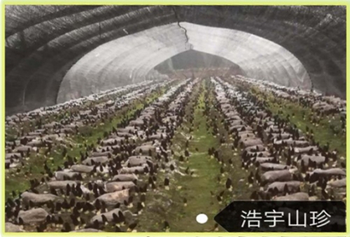 &#24320;&#20803;&#32593;&#31449;&#30331;&#24405;&#20837;&#21475;&#95;&#24320;&#20803;&#65288;&#20013;&#22269;&#65289;